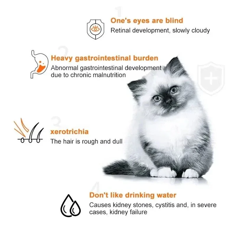10pcs Cat Strips Pet Snacks Va - Snacks Food Labels recensie en prijs